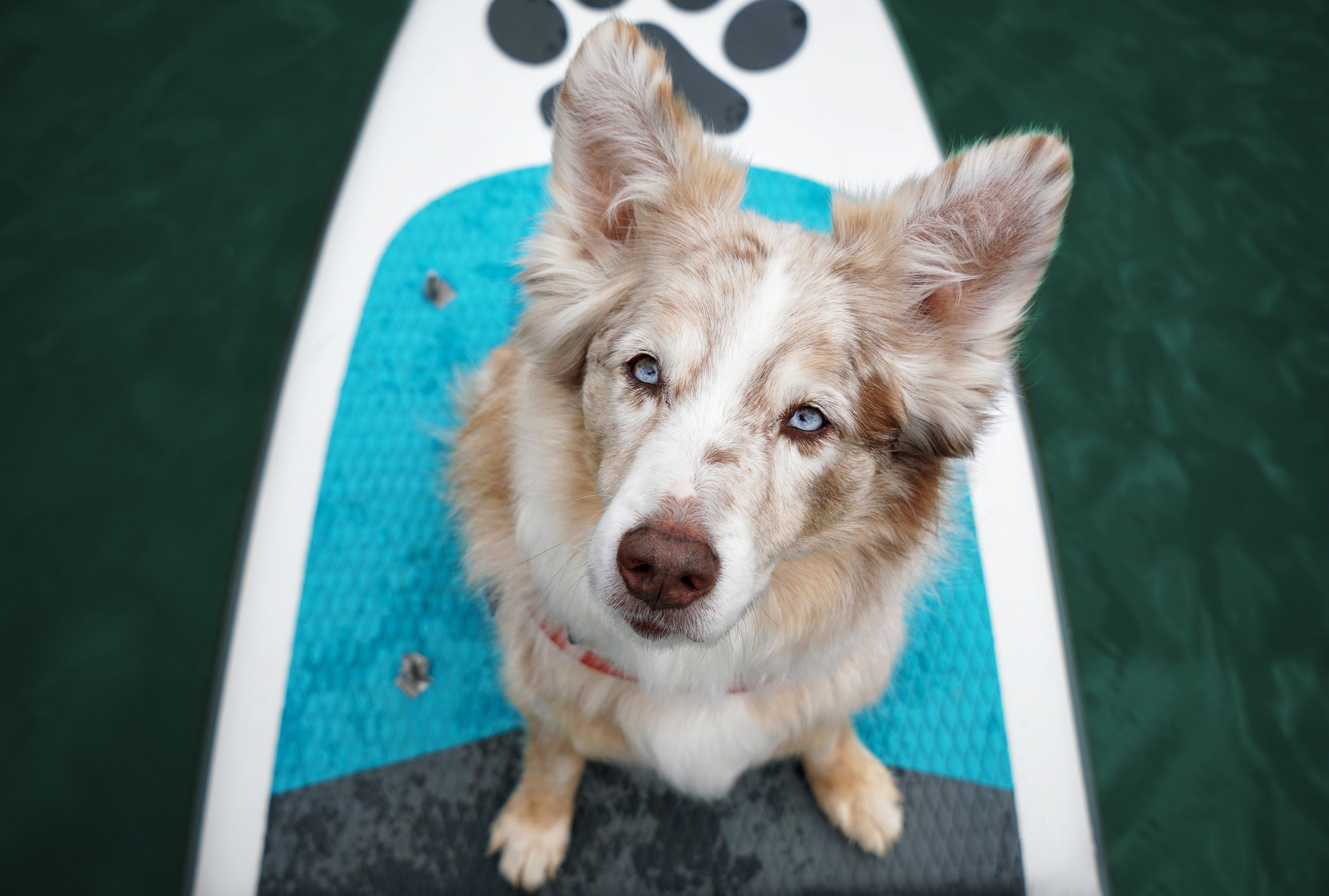 Reflecting on Nine Years of Being Together on the Water