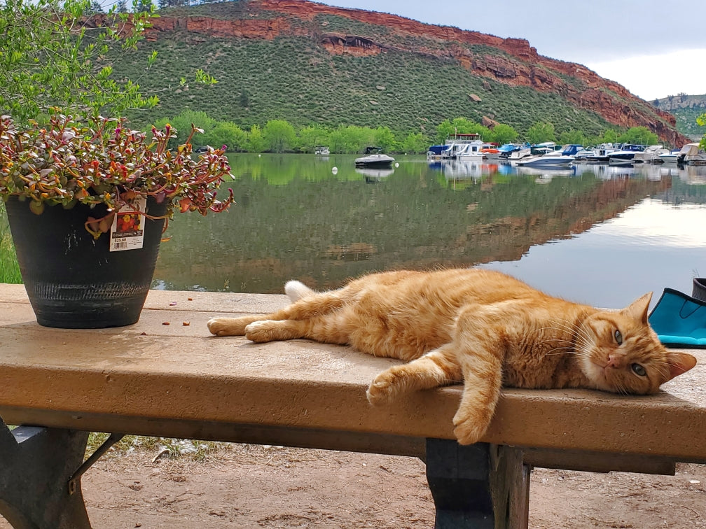 Horsetooth Reservoir: A Must Paddle