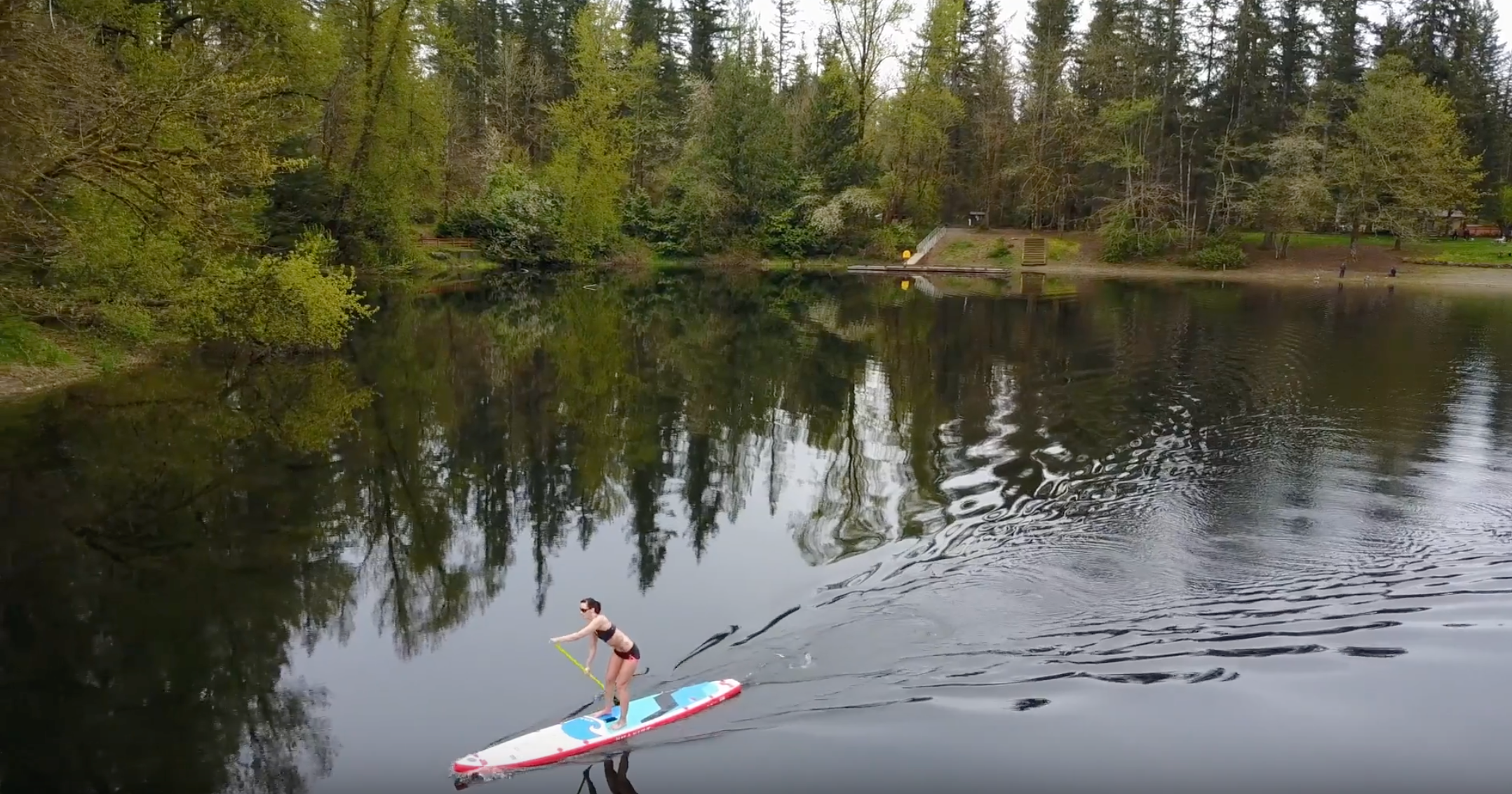 Introducing the Nass-T