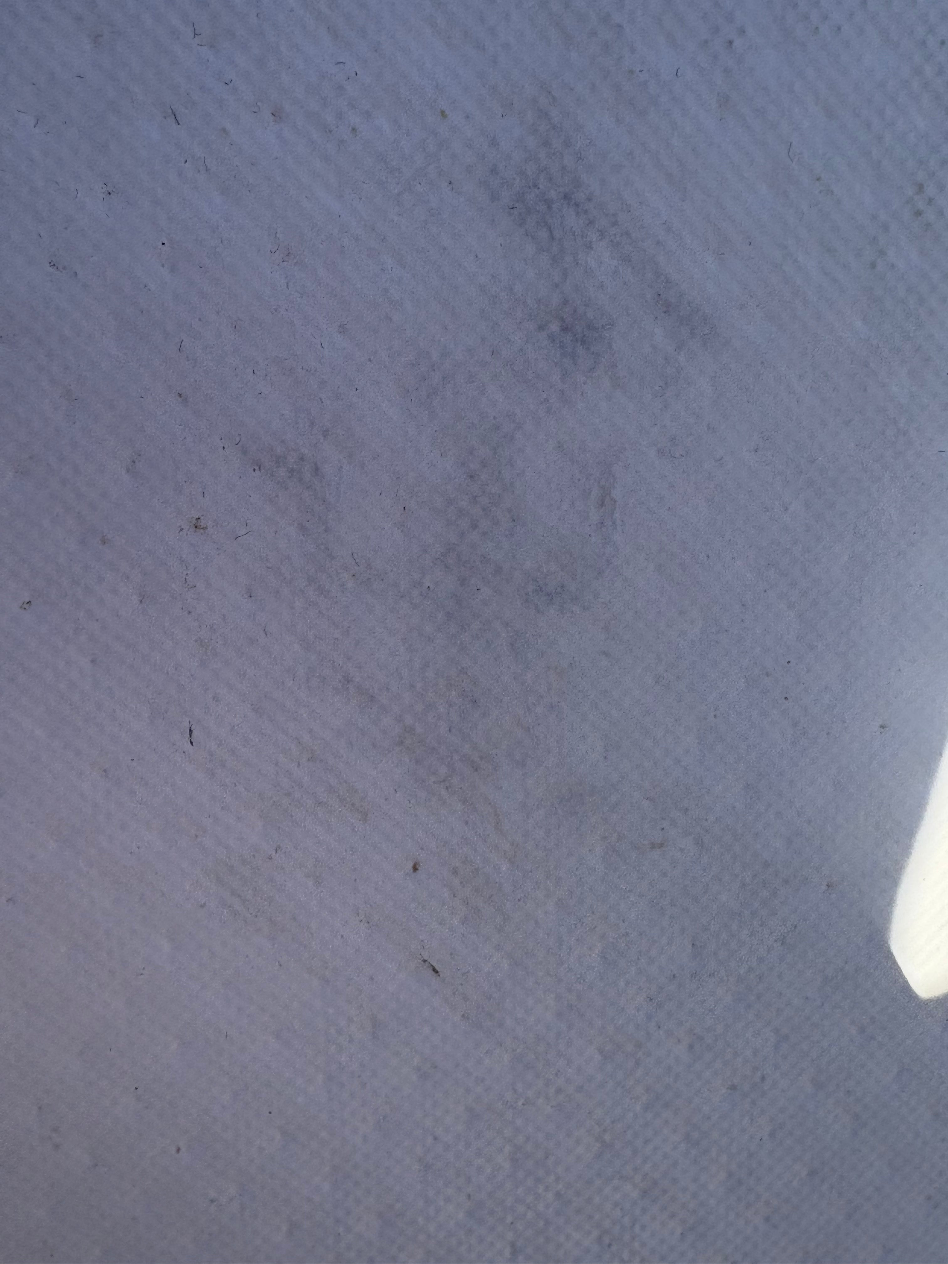 Demo Rado SUP (SN Y14622412RD091)