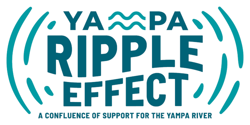 donation to yampa ripple effect