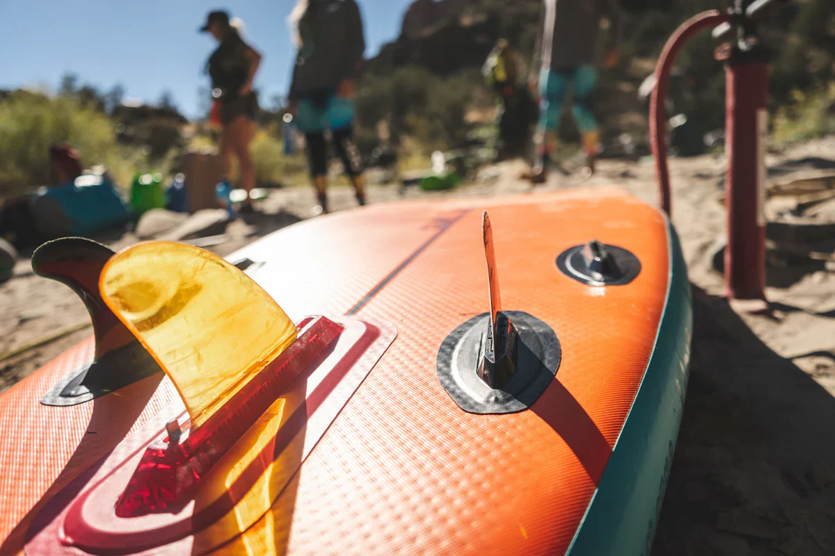 All Fins